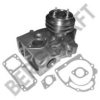 BERGKRAFT BK4137711WP Water Pump